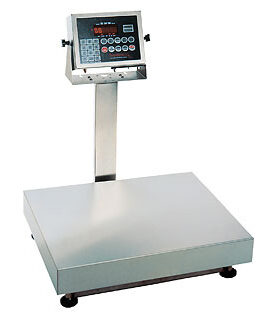 EB Series Platform Scales 2