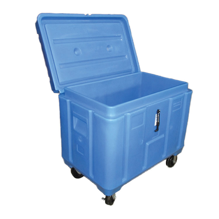 Insulated sales ice container
